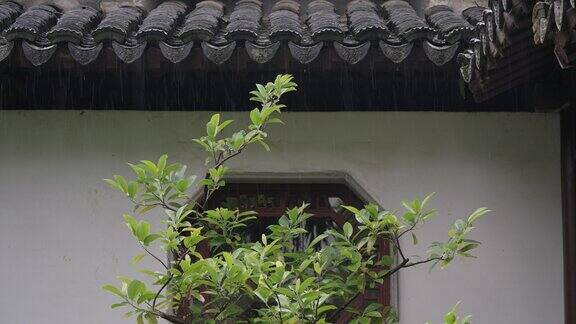 南京瞻园雨景合集