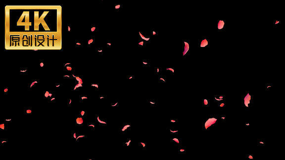 4K透明通道三维花瓣粒子玫瑰花瓣