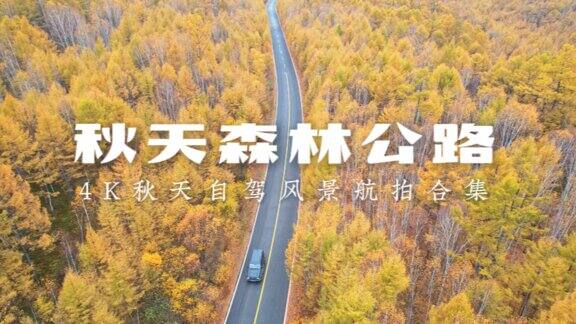 秋天森林公路自驾 4K合集