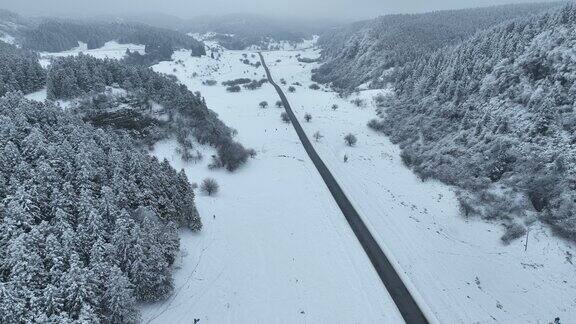 重庆武隆仙女山雪山森林公园雪景航拍