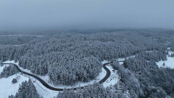 重庆武隆仙女山雪山森林公园雪景航拍